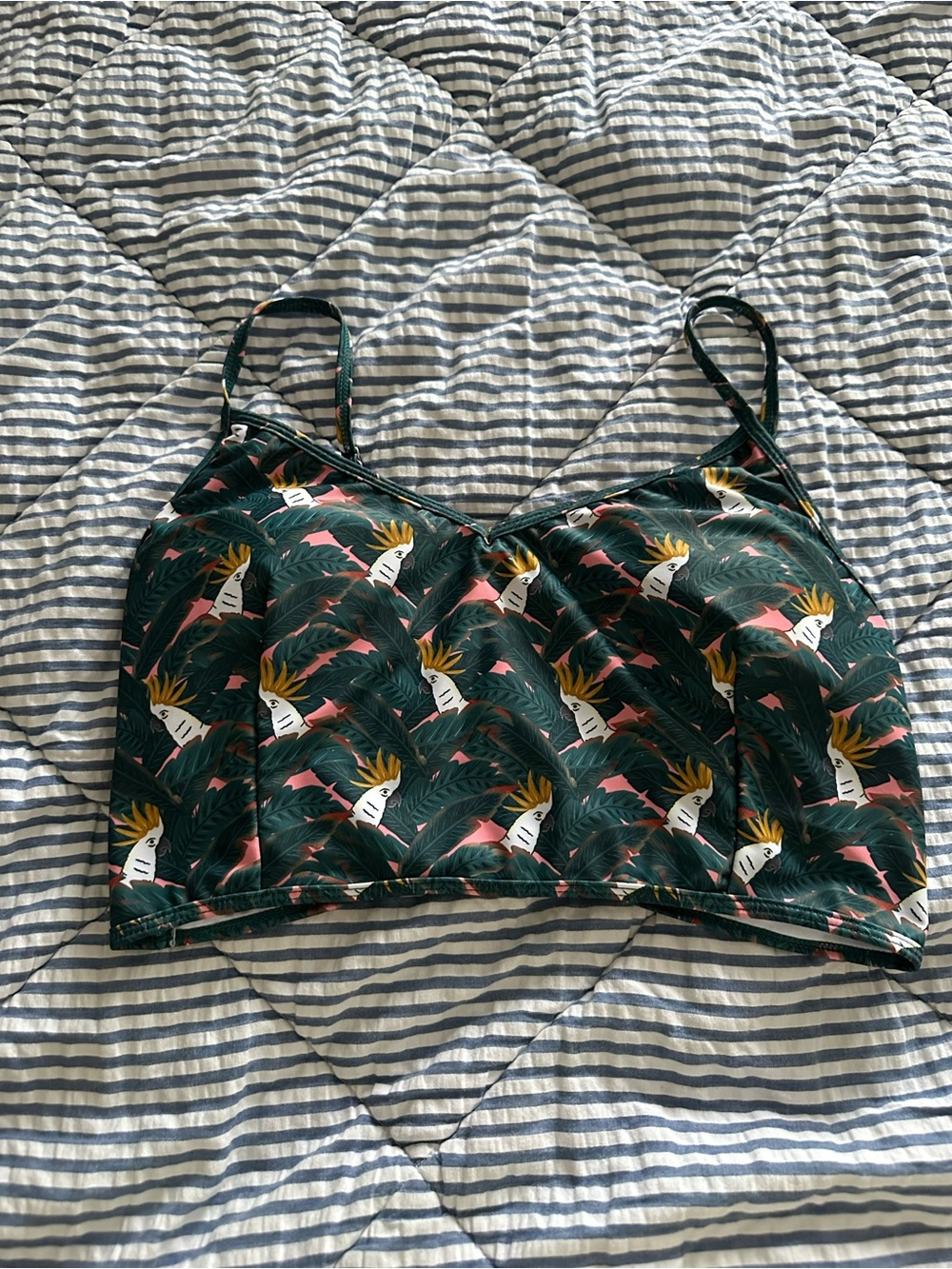 Kortni Jeane Large Cockatiel V’d Crop Top